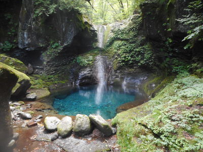 DSCN3737[1].JPG